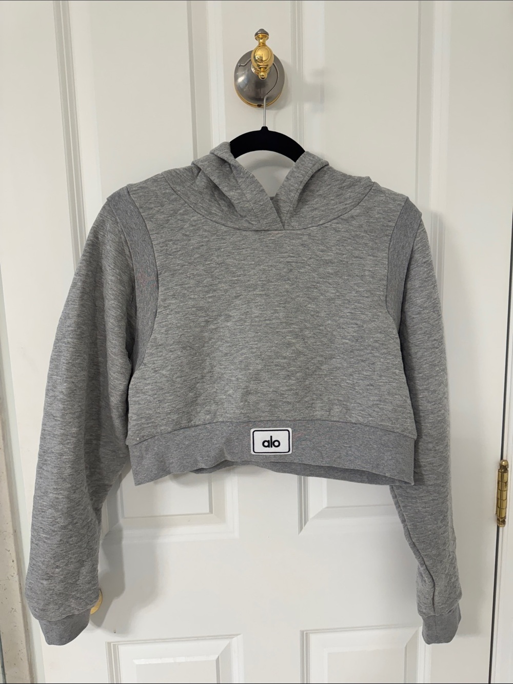 ALO Yoga Light Gray Cropped Hoodie